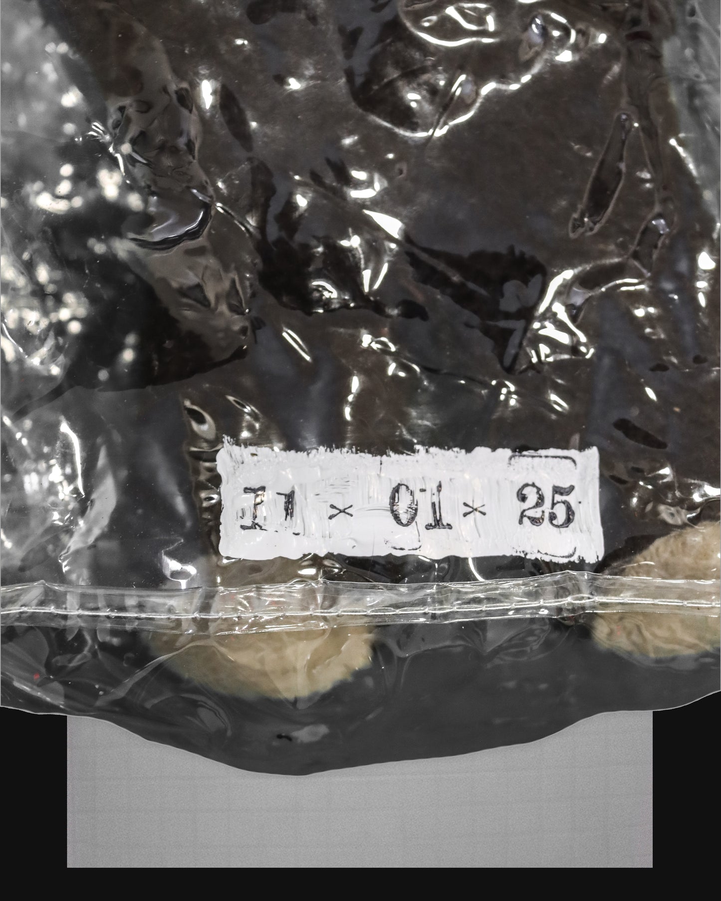 EMOTIONAL SUPPORT - 005