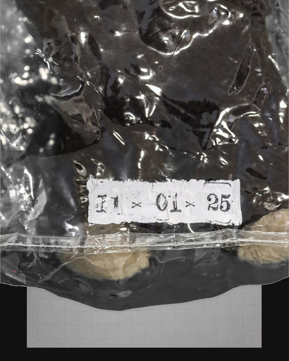 EMOTIONAL SUPPORT - 005