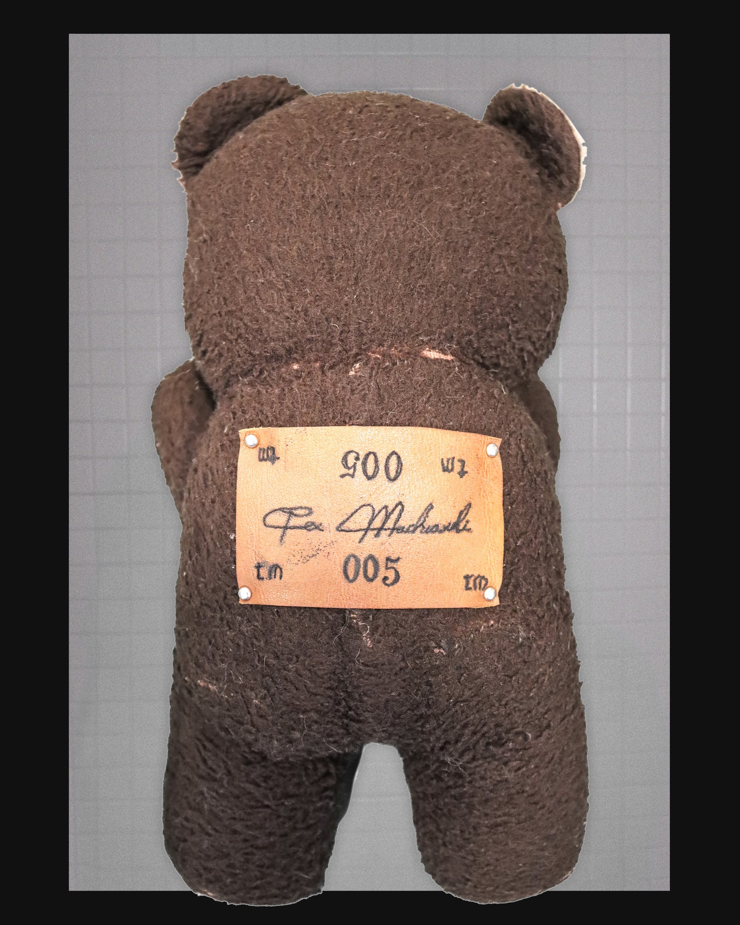 EMOTIONAL SUPPORT - 005