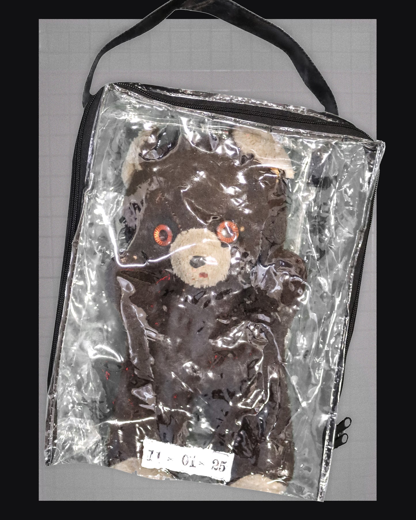 EMOTIONAL SUPPORT - 005